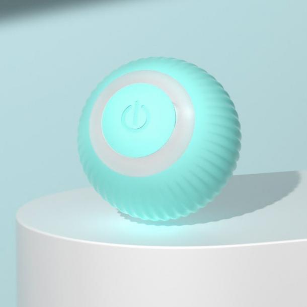 Pet Interactive Electric Car Toy
