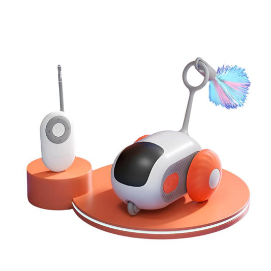 Pet Interactive Electric Car Toy